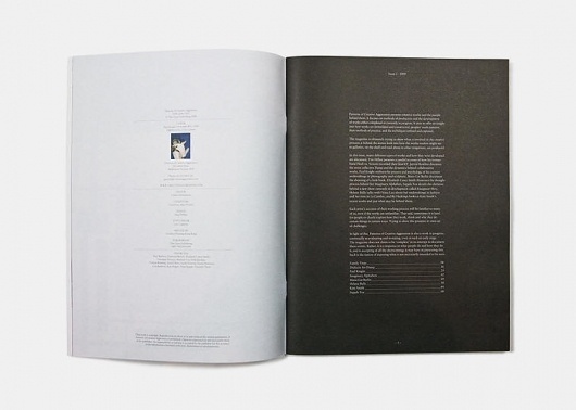 PATTERNS OF CREATIVE AGGRESSION - ISSUE 2 #of #contents #layout #table #editorial #magazine