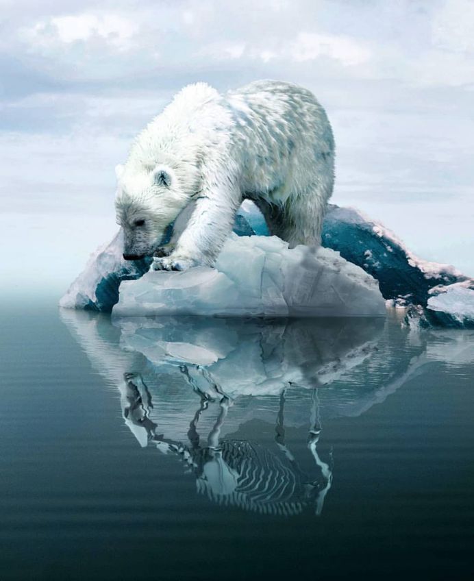 Whimsical and Dreamlike Photo Manipulations by Boby Atmajaya