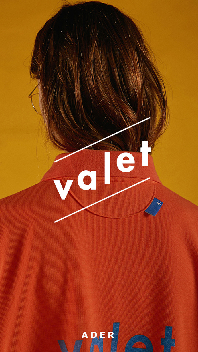 Ader Error – Poster Design