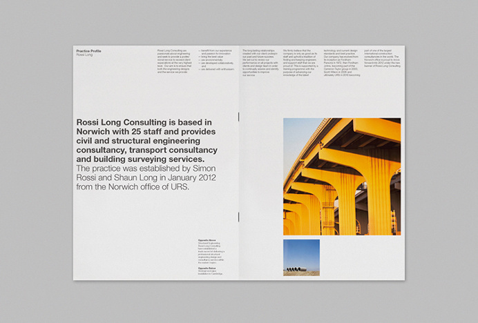 Rossi Long Consulting by Matthew Hancock #print #graphic design #editorial