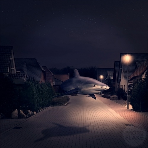 Photography by Anja Stiegler #photography