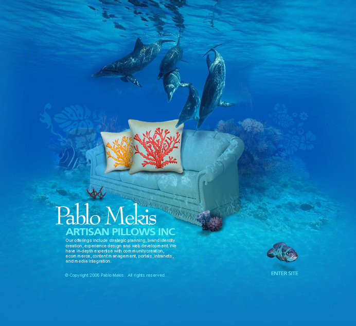 Website designed for a pillow designer #design #web #graphic