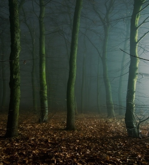 Foggy Night (Study #5), photography by Dimitri Bogachuk
