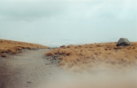 there – waking up | andrea belmont #photography #road #nature