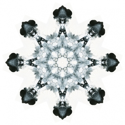 Rorschach Mandalas « Variations on a Theme #illustration #rorschach