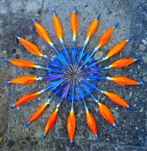 simple things #flower #mirror