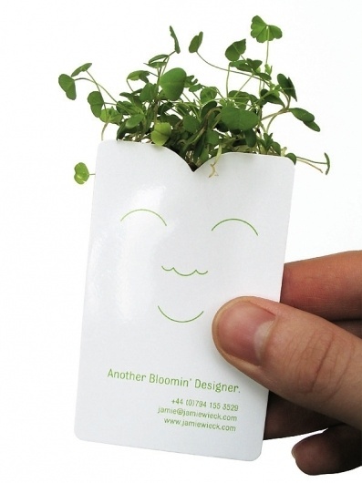 Another Bloomin' Designer - Jamie Wieck - Design, Illustration & Creative Thinking #plant