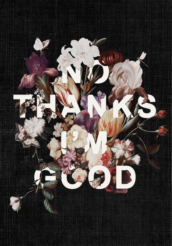 No Thanks I'm Good by Heather Landis