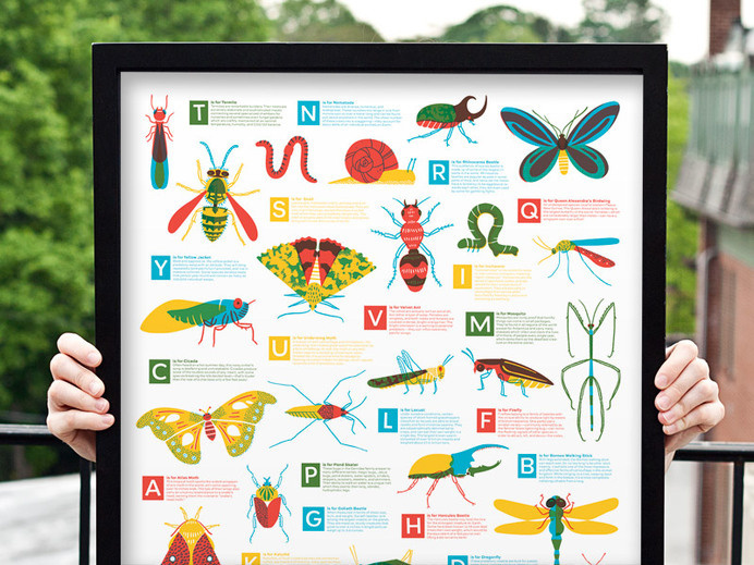 Bugs Alphabet #colour