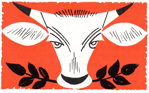 bull