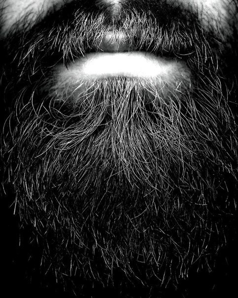 Hiding In Plain Sight #beard