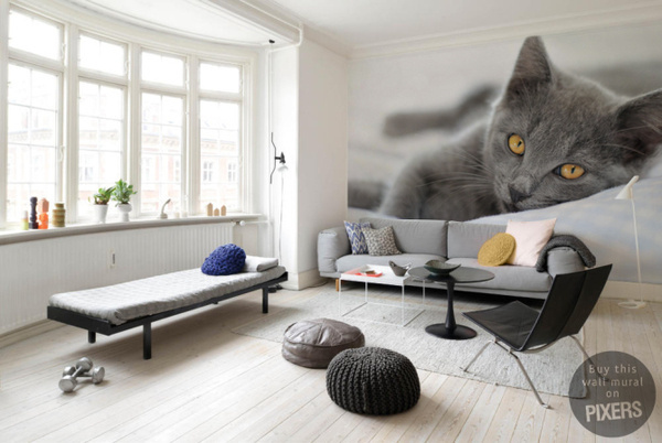Cat #interior #mural #design #living #cat #home #decor #wall #scandinavian #room