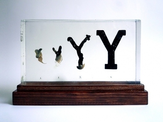 Evolution of Type, Exhibit 17 & 19 on the Behance Network #balsa #leaf #design #organic #evolution #type #wax