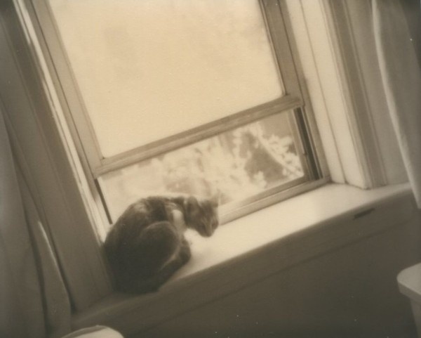 Anna Marcell #inspiration #photography #polaroid