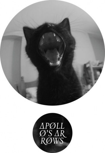 Aaron Dawkins #aaron #cat #shape #dawkins #circle
