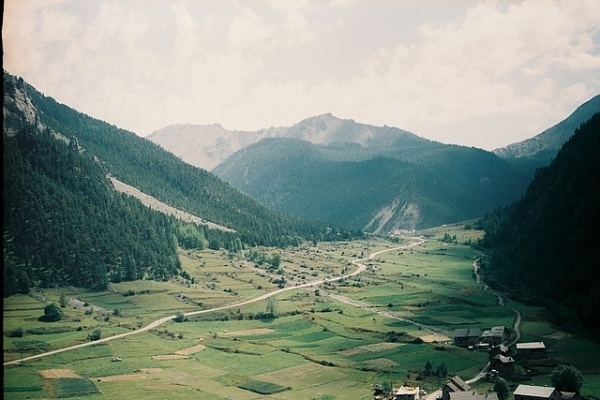 Film Photography by Isabelle Bertolini | Professional Photography Blog #photography #inspriation #film