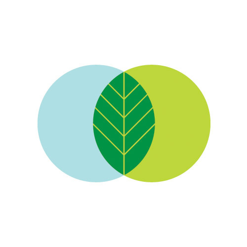 Leaf Logo