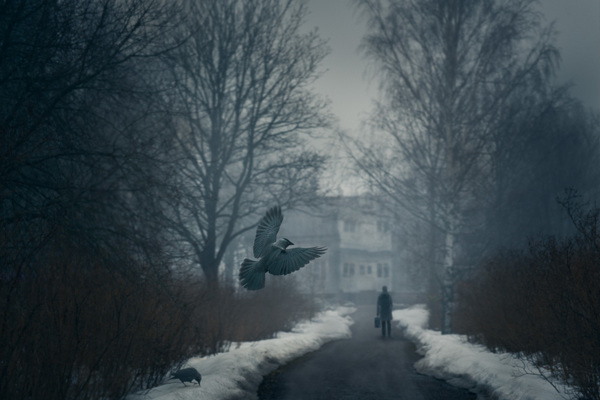 d r e a m II on Behance #photography