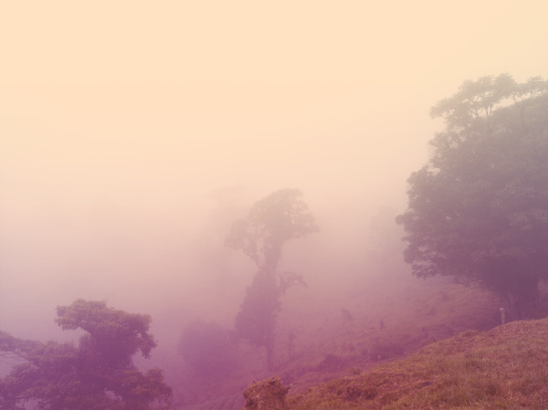 Brendan Austin | PICDIT