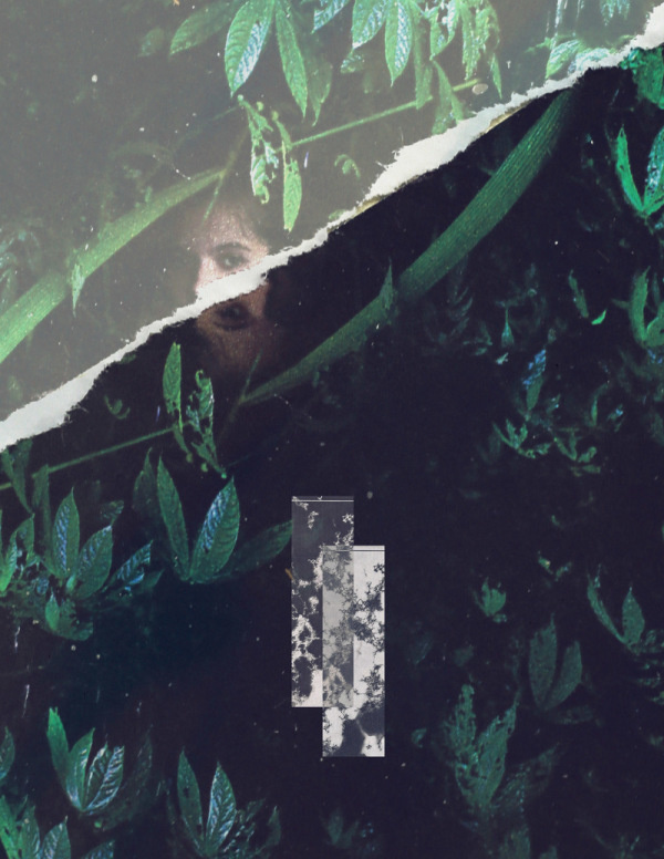 Emon Toufanian | PICDIT