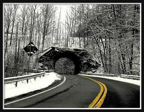 Photography by Michelle Wright | Professional Photography Blog #inspiration #photography