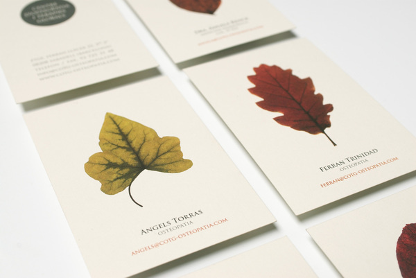 Centre d'Osteopatia i TerÃ pies Globals #terpies #logotype #estudi #i #centre #cotg #globals #dosteopatia #design #graphic #torras #conrad #barcelona #leaves