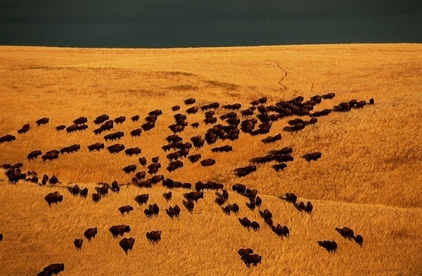 Travel Landscapes by Jim Richardson #inspiration #photography #travel