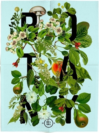 DelVal - Dan Blackman: Art Direction & Design #dan #botany #blackman #poster #collage #typography