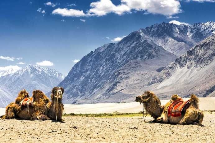 Kashmir by Sajid Ahmed #inspiration #photography #travel