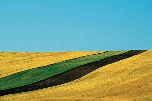 Franco Fontana #inspiration #photography #landscape