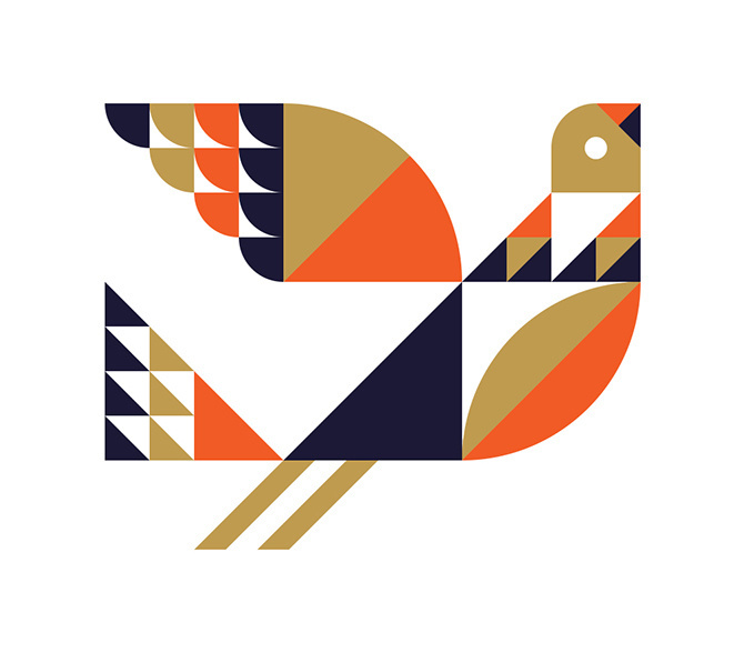 Bird - Ty Wilkins #ty #wilkins #bird