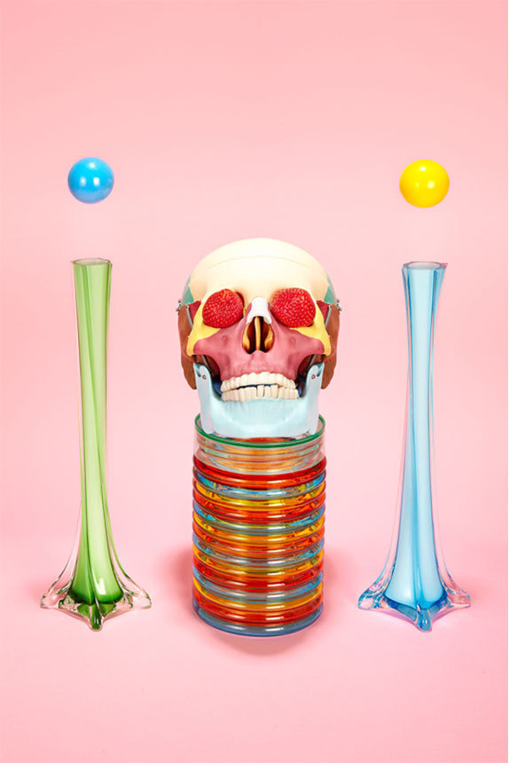 Hidden Leisure » Installation #hidden #leisure #surreal #skull #still #life