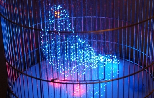 MAKOTO TOJIKI | LUST NATION #lust #nation #design #in #bird #cage #art #artist