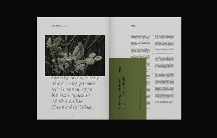 Succulents and cacti. on Behance