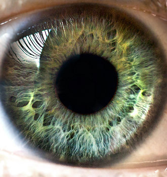 my eye #auge #eye #macro #iris