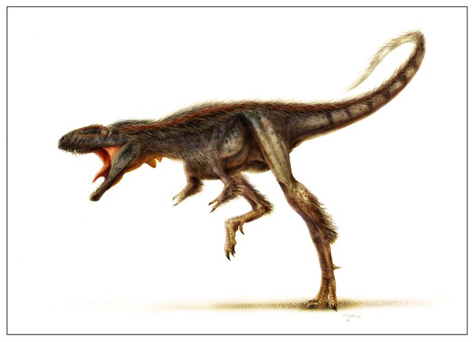 Dinosaur Rivalries: Tyrannosaurs vs Ceratopsians - Dinosaurs Forum