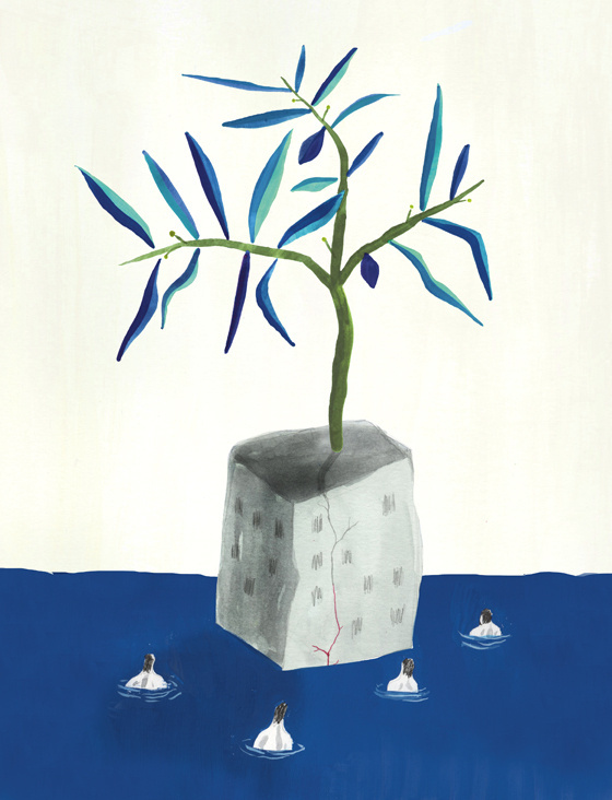 editorial illustrations #illustration