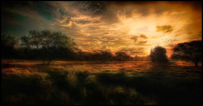 Landscape Photographs That Looks Like Oil Paintings