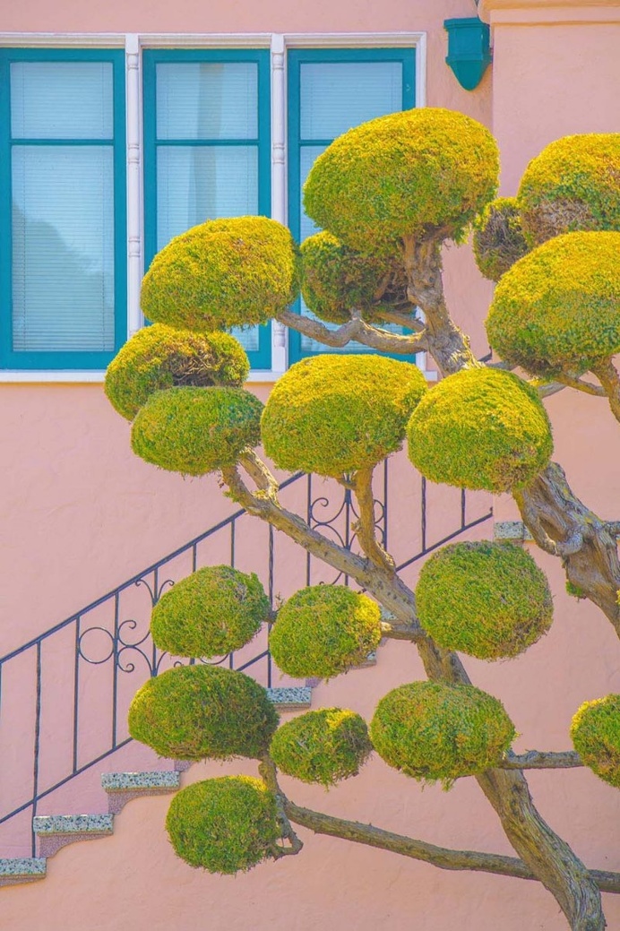 Colorful and Texture Photography by Xuebing DU
