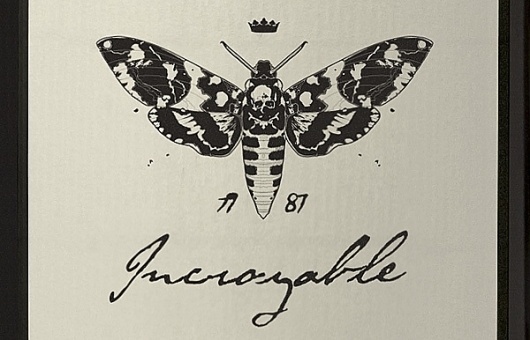 Incroyable on Branding Served #logo #illustration