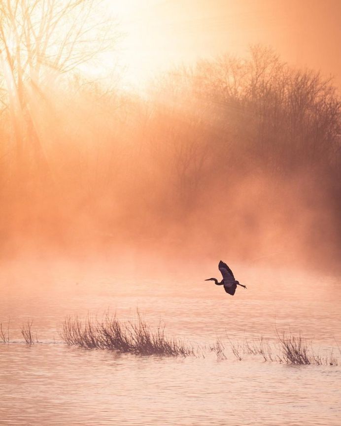 Fantastic Nature Photography by Logan Brown