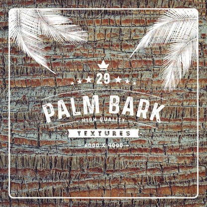 29 Palm Bark Textures #palm #palmbark #textures