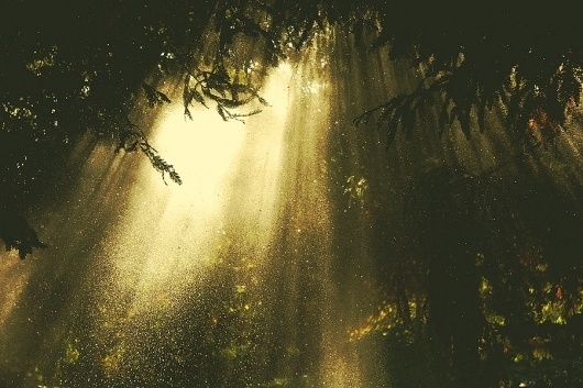 Navis Photography #photography #rain