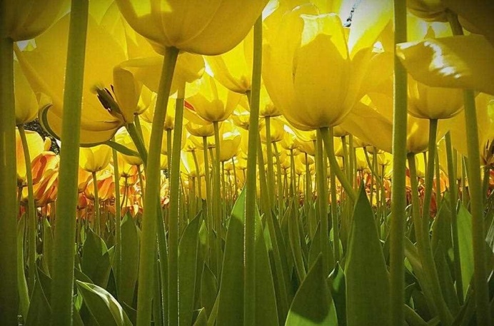 The Winners of the National Geographic Kids International Photography Contest