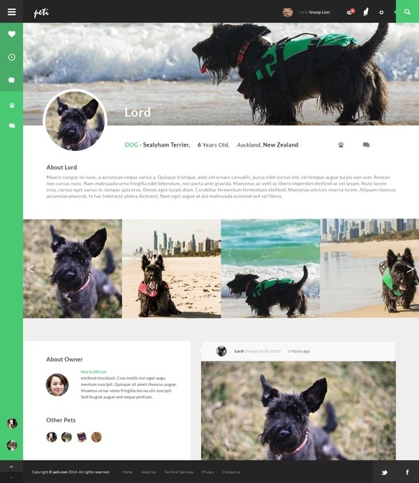 social network, pets, UI, web