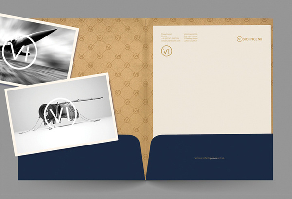 Visio Ingenii on Behance #branding