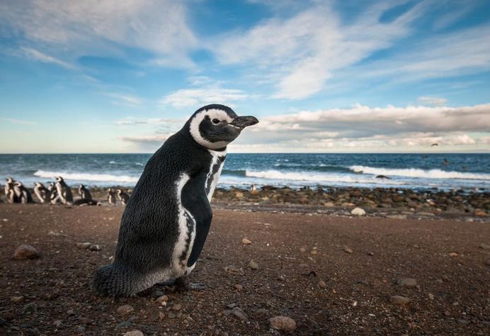 Spectacular Travel and Adventure Photography by Michael Clark