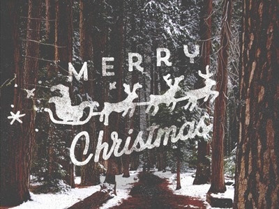 Merry Christmas #christmas #lettering