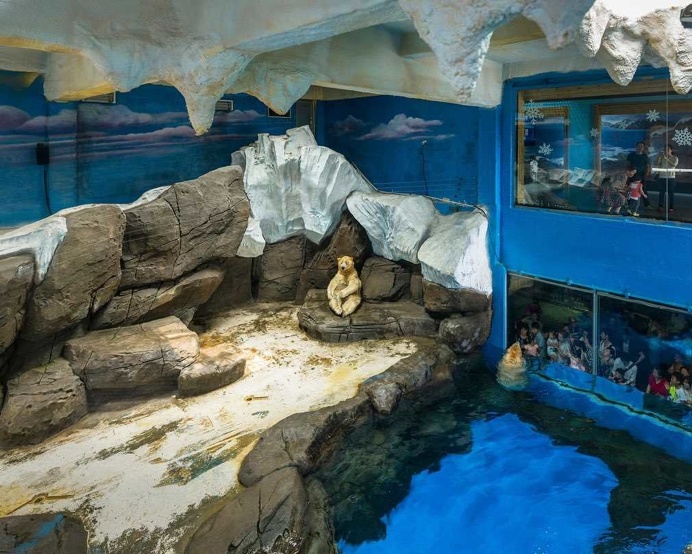 White Bear: Sheng Wen Lo Documents Polar Bears in 26 Sites Across Europe and China