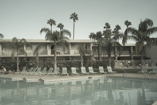 PRIVATE » Recommendations #redgrove #palm #benedict #photo #photography #spring #wallpaper
